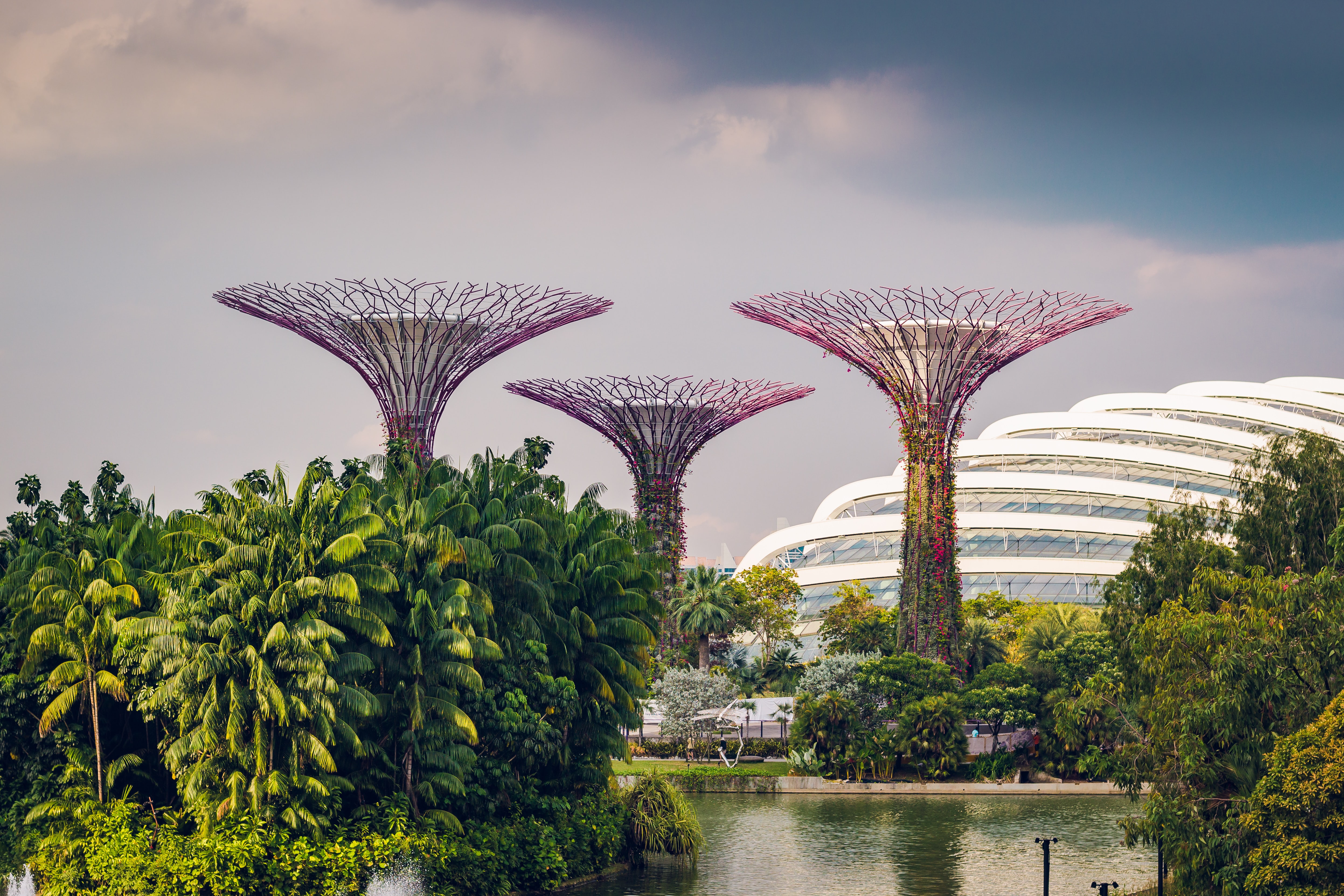 gardens by the bay